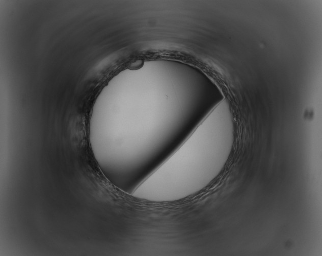 X0000101961062200807180657