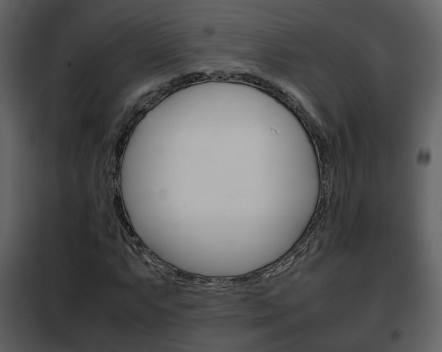 X0000101961063200807180657