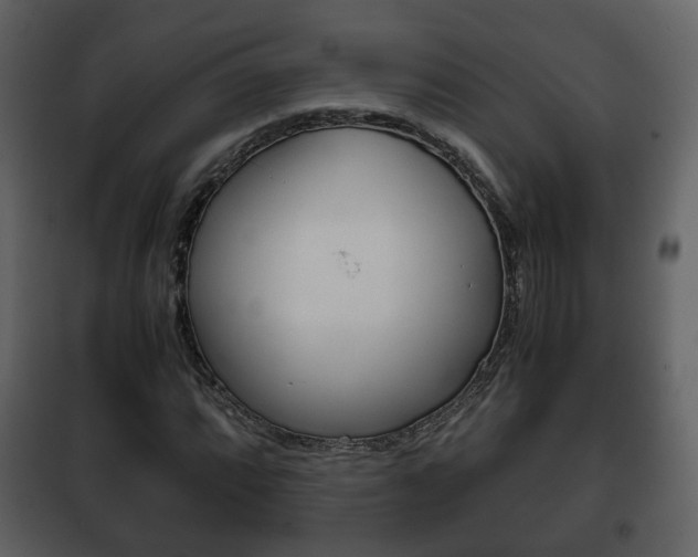 X0000101961064200807180657