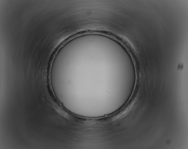 X0000101961065200807180657