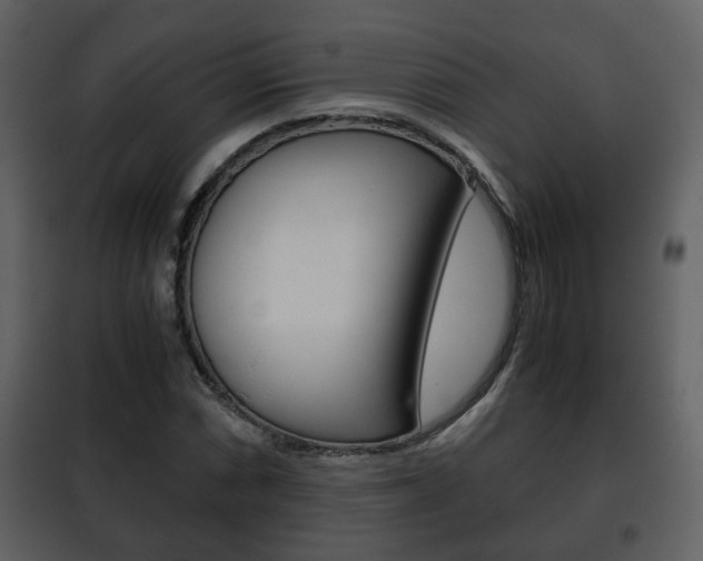 X0000101961066200807180657