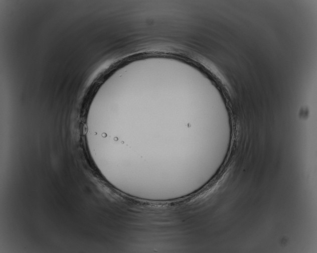 X0000101961067200807180657