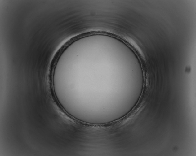 X0000101961068200807180657