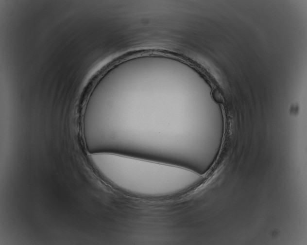 X0000101961069200807180657