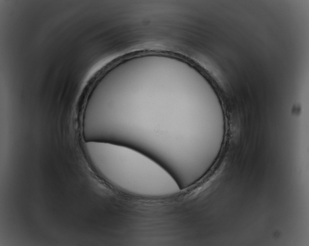 X0000101961070200807180657
