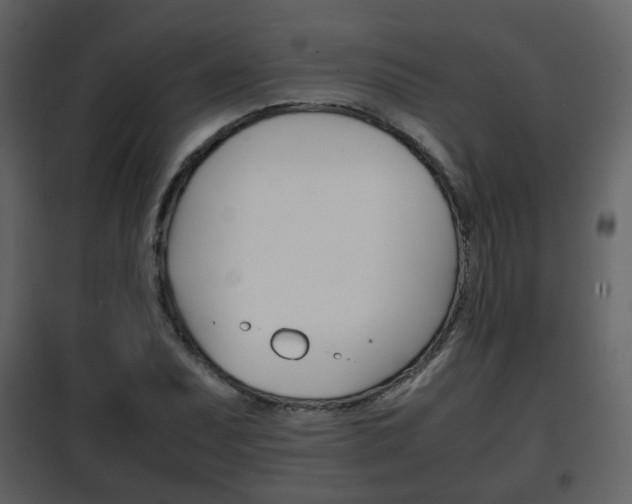 X0000101961071200807180657