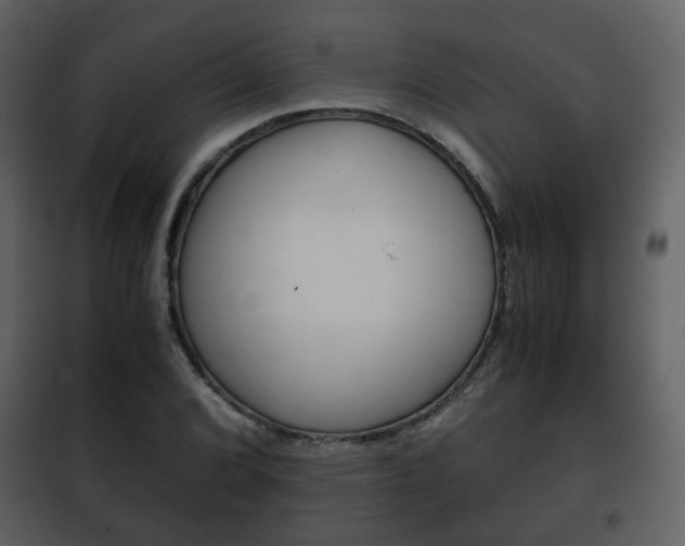 X0000101961072200807180657