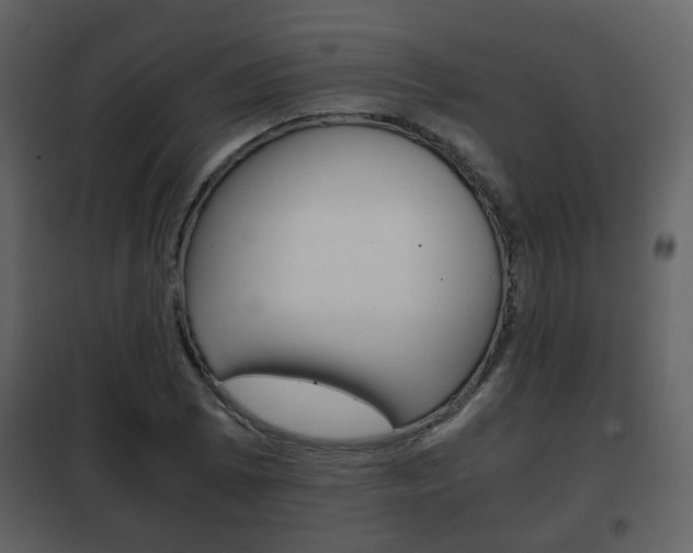 X0000101961073200807180657