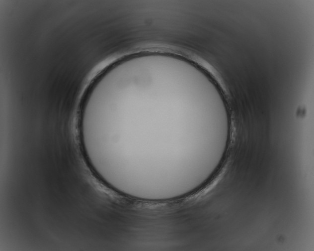 X0000101961074200807180657
