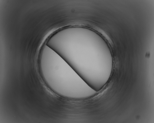 X0000101961075200807180657