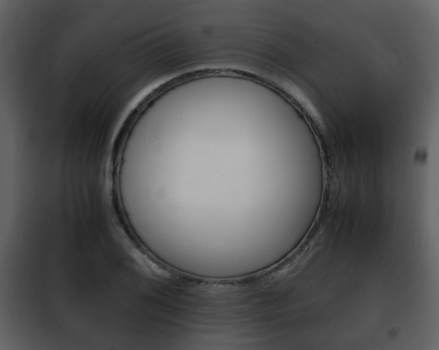 X0000101961076200807180657