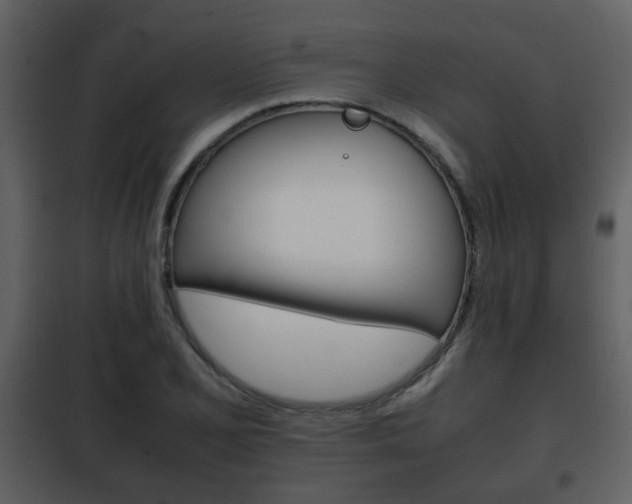 X0000101961077200807180657