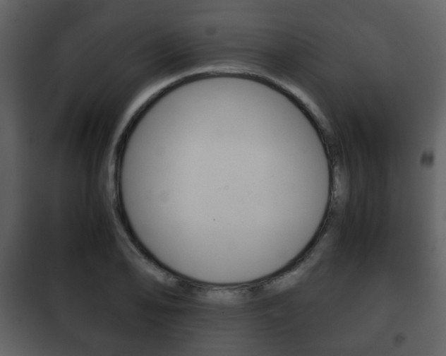 X0000101961078200807180657
