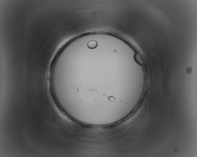 X0000101961079200807180657