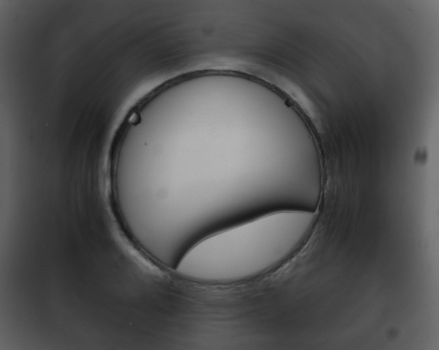 X0000101961080200807180657
