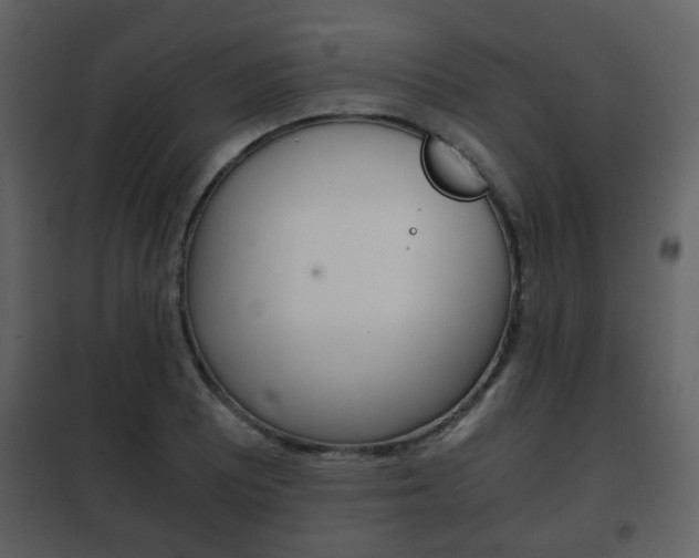 X0000101961081200807180657