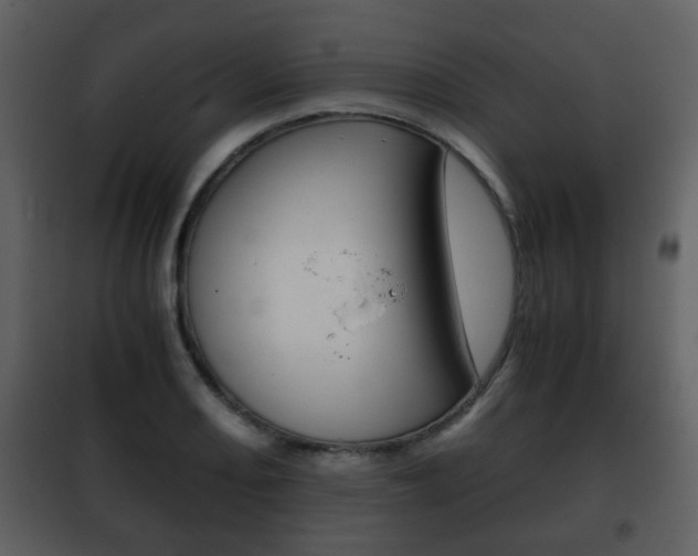 X0000101961082200807180657