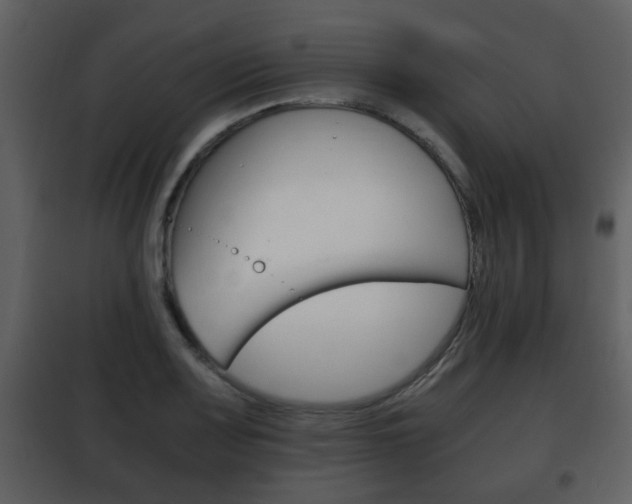 X0000101961083200807180657