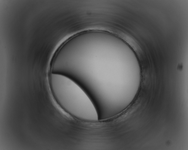 X0000101961084200807180657