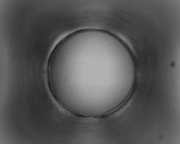 X0000101961085200807180657