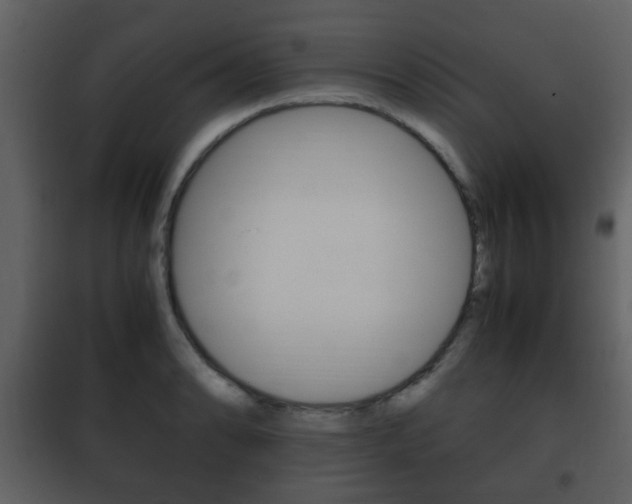 X0000101961086200807180656