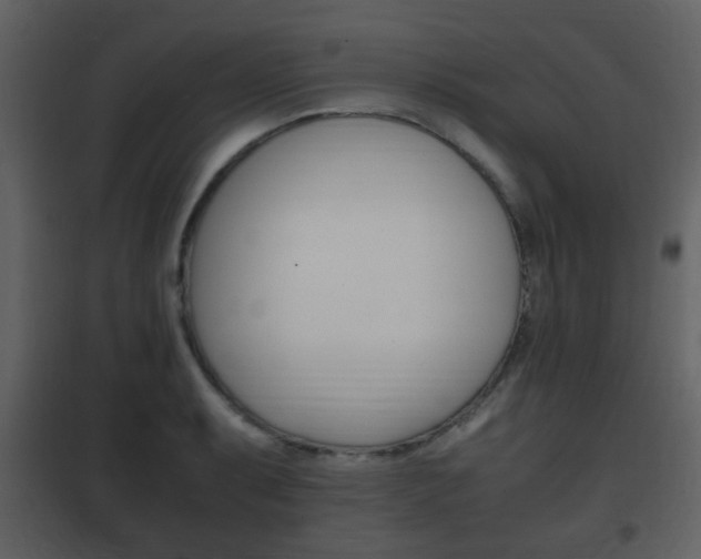 X0000101961087200807180656