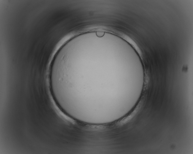X0000101961090200807180656