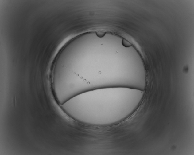 X0000101961091200807180656