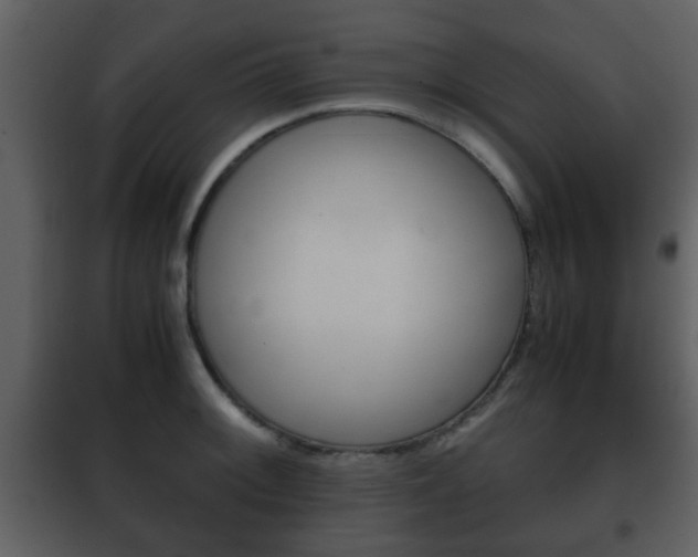 X0000101961092200807180656