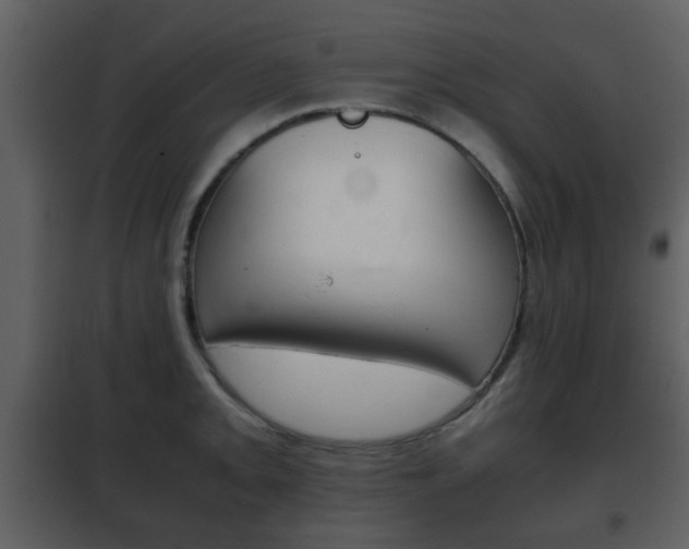 X0000101961093200807180656