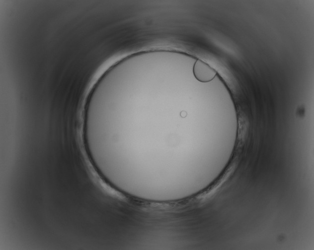 X0000101961094200807180656