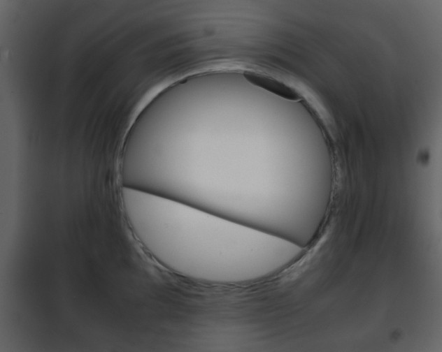 X0000101961097200807180656