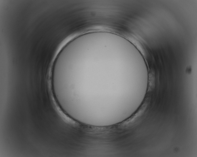 X0000101961098200807180656
