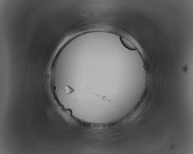 X0000101961099200807180656