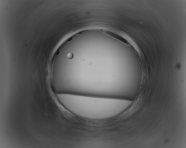 X0000101961101200807180656