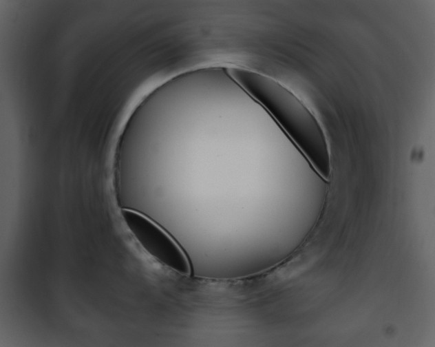 X0000101961104200807180656