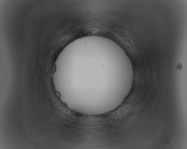 X0000101961105200807180656