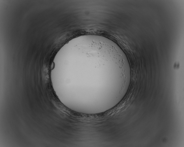 X0000101961106200807180656