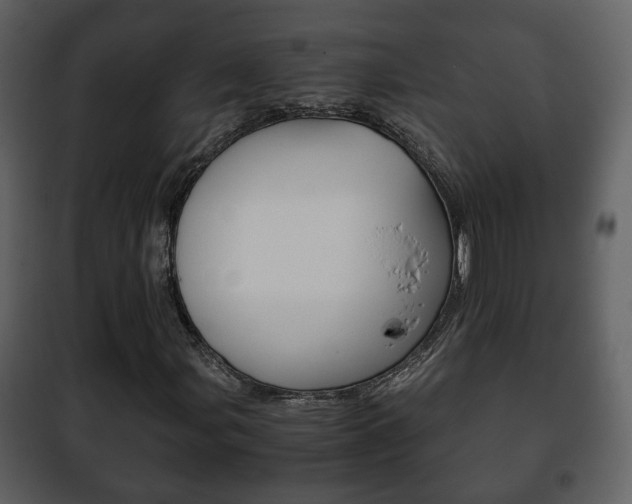 X0000101961107200807180656