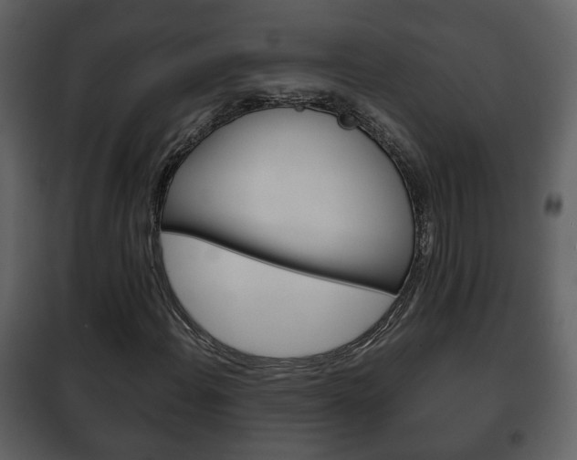 X0000101961108200807180656