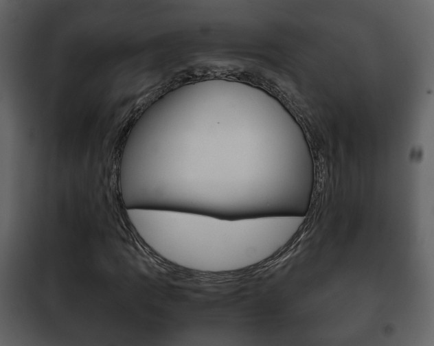 X0000101961109200807180656