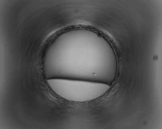 X0000101961112200807180656