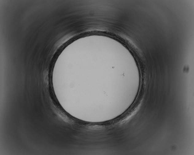 X0000101961113200807180656