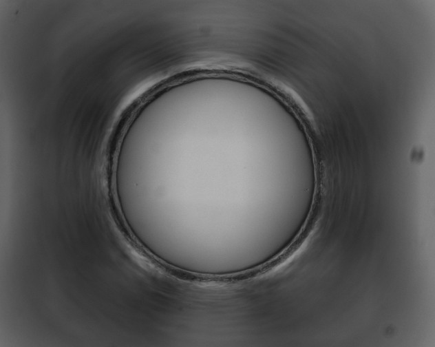 X0000101961114200807180656