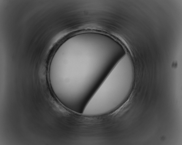 X0000101961115200807180656