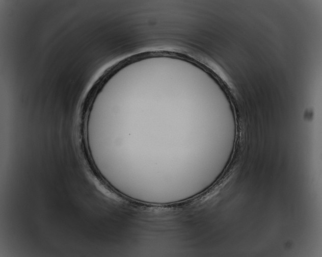 X0000101961116200807180656