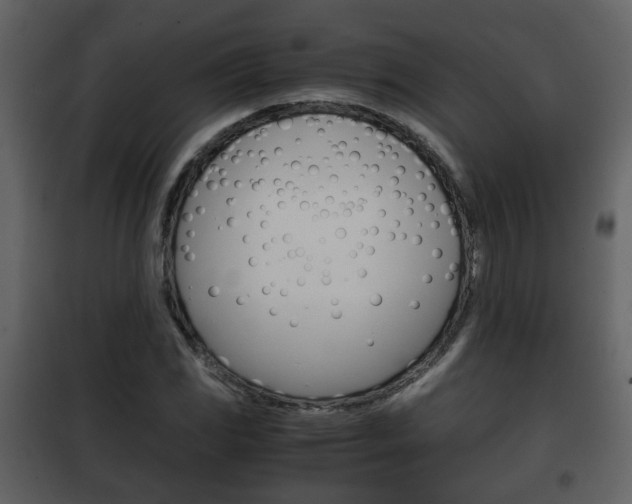 X0000101961117200807180656