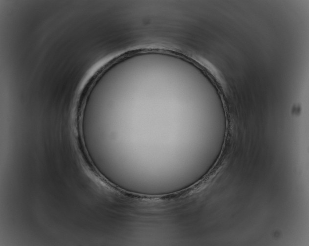 X0000101961120200807180656