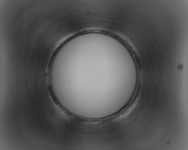 X0000101961121200807180656