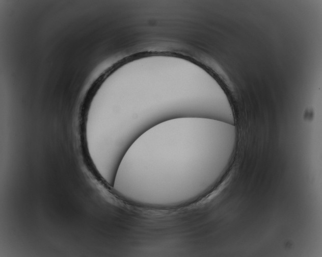 X0000101961122200807180656